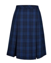 Box Pleat Skirt  | 536 